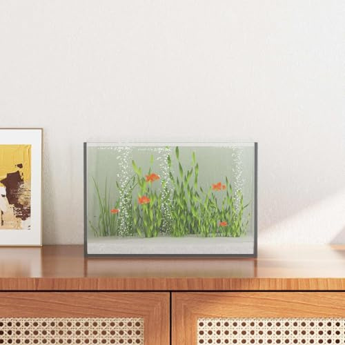 GeenYuu Acquario in vetro trasparente, 30 x 20 x 20 cm, nano serbatoio per pesci d'acqua dolce con visione a 360 gradi e design resistente agli urti, per acquascape e paludarium interni