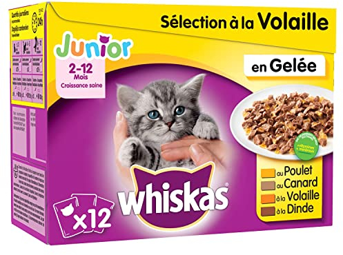 WHISKAS Mahlzeit für Junior-Katzen – 48 Frischebeutel (4 Packungen à 12 x 100 g) – Nassfutter für Kätzchen in Gelee – Huhn/Truthahn/Ente/Geflügel – Vollnahrung und ausgewogene natürliche Inhaltsstoffe