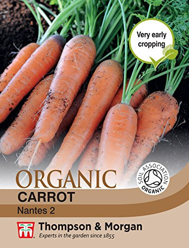 Thompson & Morgan - Carrot Nantes 2 (Organic) - 1000 Seeds