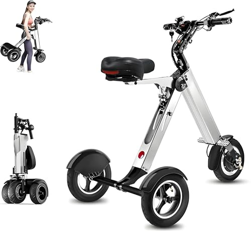 XDLYWUZIQ Patinete De 3 Ruedas para Adultos, Autonomía De 40-48 Km, Motor De 250 W, con Batería De 36 V Y 8 Ah E Interruptor De Llave, Triciclo Eléctrico con Función De Marcha Atrás Grey