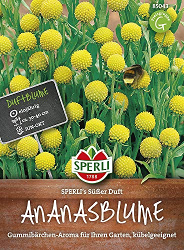 Sperli Ananasblumensamen SPERLI's Süßer Duft 85043, Sommerblumensaat