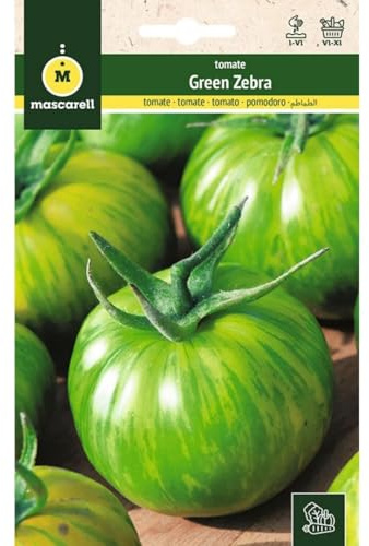Mascarell Semillas, TOMATE, Semillas Huerto, TOMATE GREEN ZEBRA, Crea tu Propio Huerto Urbano y Cultivo en Casa, Plantas Hortícolas, 0,1 Gramos