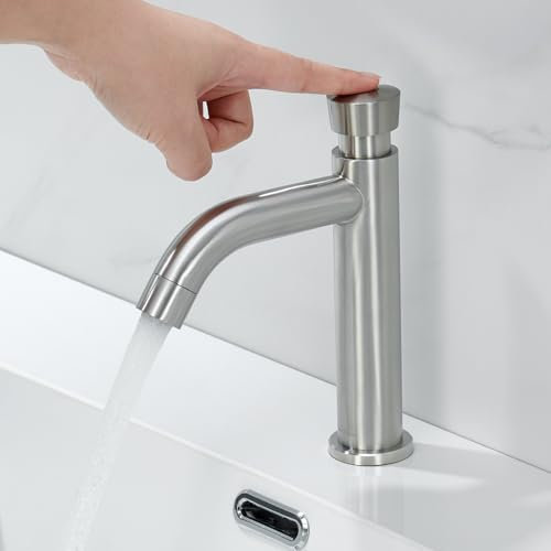 BuntHaus Robinet Lavabo Eau Froide - Robinetterie Salle de Bain en Acier Inoxydable, Interrupteur à Pression ABS Non Automatique, Design Moderne Argent Brossé