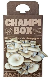 Kit de Culture de Champignons Pleurotes Gris Champibox™ (Pleurotus ostreatus) - Pleurotes Made in France - Gourmand et Éducatif - Idée Cadeau Originale et Naturelle pour Tous - Facile à Utiliser