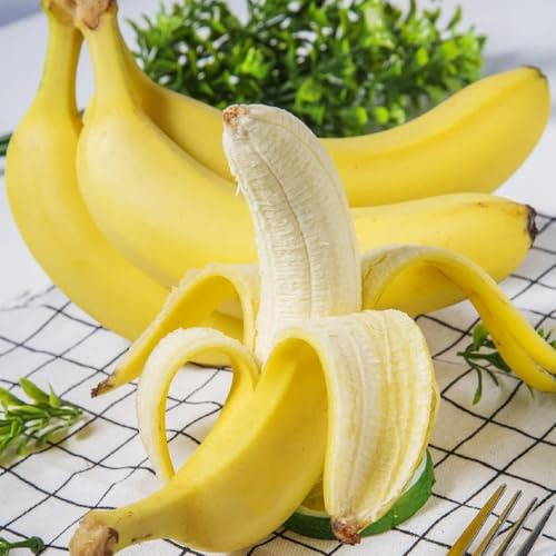 Semillas de plátano, columnares de plátano resistente, para lugares soleados semillas de balcón 10pcs