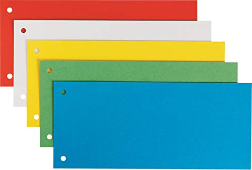 LEITZ Trennstreifen, Pendareckarton, 180 g/m², 2fach Lochung, 24 x 10,5 cm, farbig sortiert, Sie erhalten 1 Packung á 25 Stück