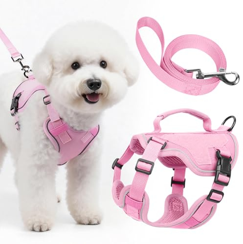 Ledeak Juego de Arnés y Correa para Perro, Arnés Antitirones Reflectante Ajustable Transpirable con Control de Manija, Cómodo Chaleco Acolchado para Perros Pequeños Medianos Cachorros (Rosa, XS)