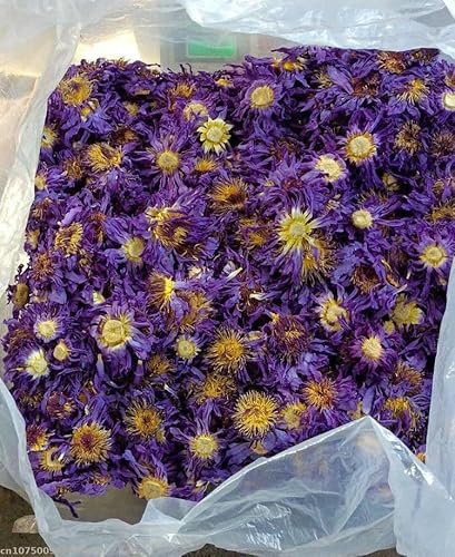 QIUMING Profumo di Loto Naturale, Fiori secchi, Bagno sbiancante, Sapone di Bellezza, Decorazione per Esterni, tè profumato Fatto in casa