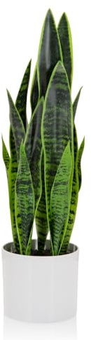 HJH Office 871016 Pianta artificiale SANSEVIERIA con fioriera Altezza 65 cm Pianta d'appartamento artificiale arco di canapa