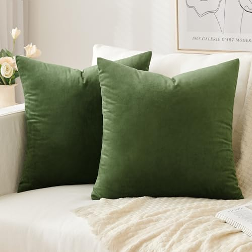 Slozzi 2er Set Samt Kissenbezüge Haushalt Dekokissen Dekorative Kissenhülle Weich Sofakissen für Sofa Schlafzimmer Wohnzimmer 50x50 cm Matcha Grün
