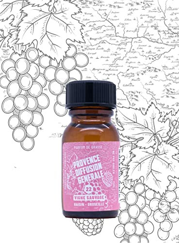 PROVENCE DIFFUSION GENERALE REVITALISEUR Flacon - Vigne Sauvage (Raisin Groseille)