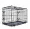 zooprinz Faltbare Hundebox aus stabilem Eisen – Hundekäfig mit 2 Türen – inklusive Bodenschale für deinen Hund – mit Transportgriff – in 4 Größen verfügbar ((M) 76 x 49 x 54 cm)