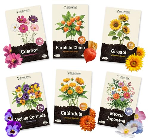 Grounding – Kit de Semillas de Flores “Balcón & Jardín” (6 sobres) – Physalis, Caléndula, Cosmos, Viola cornuta, Girasol enano, Pradera florida – Siembra fácil primavera/otoño – Calidad europea