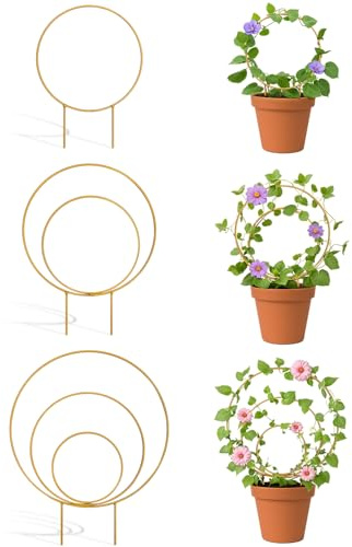 3 Pack Circle Plant Trellis Indoor, Small Metal Plant Support Stake for Climbing Plants, Different Sizes Round Garden Trellis for Ivy and Flowers Outdoor (Gold)