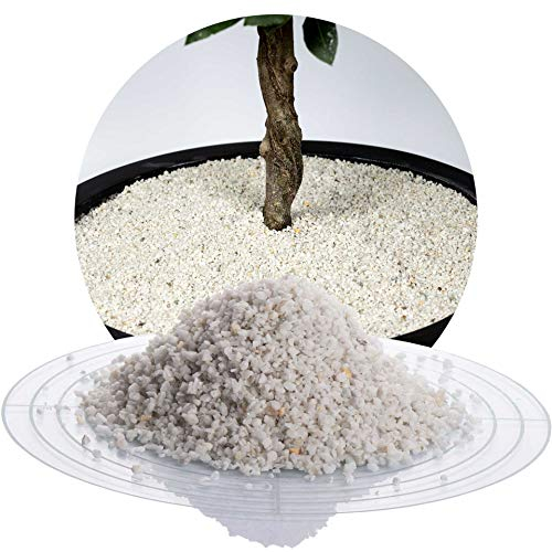 Schicker Mineral Marmor Ziersplitt weiß 25 kg, farbechter Naturstein, witterungsbeständig, ideal zur Gartengestaltung (Marmor Splitt, 1-3 mm)