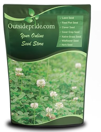 Outsidepride Perennial White Dutch Clover Seed - 1 lbs. Nitrocoated, Inoculated Clover Seeds for Lawn Alternative, Erosion Control, Food Plots, Ground Cover, & Pasture Mixtures in USDA Zones 3-10