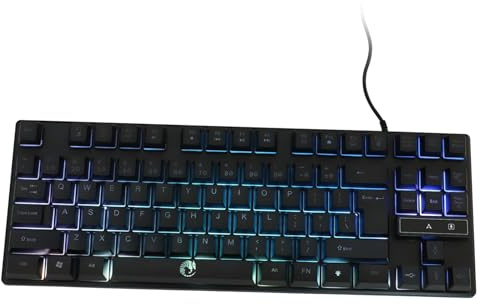 DIYEAH Clavier Touches Mécanique avec Rétroéclairage Arc-Ciel pour Ordinateur Portable et Bureau