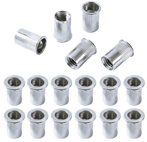 QANCEN 50 Pezzi Dadi Rivetti Filettati in Acciaio Inox, M6 Dadi Filettati a Testa Piatta, Dado con Inserto Filettato per Fissaggi in Legno, Metallo, Acciaio
