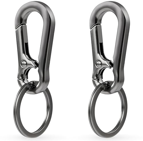 LABUYI 2Pcs Key Ring,Keyring Clip,Carabiner Keyring,Metal Keychain Carabiner Clip,Keyrings & keychains,Small Carabiner Clips,Portable Key Chain With Mountaineering Buckle,for Men Women,Black