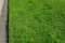 Grassamen Rasensamen Buga Rasenzauber Nr. 9, 5 Kg für ca 150m²