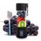 Portable Blender Black - Smoothie Maker - Mini Personal Blender - Fruit Mixer - Milkshakes Ice Maker - Travel Handheld Blenders for Soft Fruit - USB Rechargeable 2000 mAh 380 ml 6 Blades