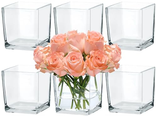 CONNOO 6 Pack Square Glass Vase 5 x 5 x 5, Clear Bulk Flower Vases for Centerpieces, Square Glass Cube Vase Floating Candle Holders for Wedding Party Home Decor