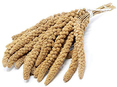 Leimüller Kolbenhirse gelb chinesisch 1 kg | Vögel lieben schmackhafte Vogelhirse | Artgerechtes Vogelfutter für Wellensittiche, Papageien, Kanarien & Co. | Hirse fördern das Wohlbefinden