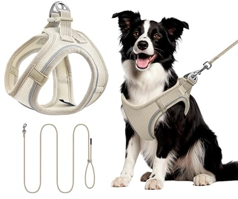 Hundegeschirr Set L mit 255cm Langer Leine – Gepolstertes Softgeschirr für mittlere Hunde – Sicherer Halt & Optimale Kontrolle durch Step-In Design – Beige