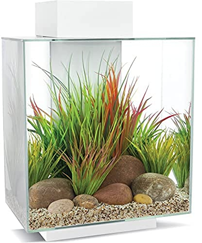 Fluval Edge 2.0 46L Aquarium Gloss White