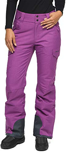 ARCTIX Snow Sports Insulated Cargo Pants Pantalones para Nieve, Mujer, Amethyst Melange, Small (4-6) Short