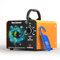 Ozon Generator 30000 mg/h, Tragbares Ozongenerator für Wohnung und Auto, 300㎡ Ozongerät Luftreiniger und Geruchsentferner, Ozon Luftreiniger, Hochleistungs-Ozongenerator für Haustiere, Auto, Gewerbe