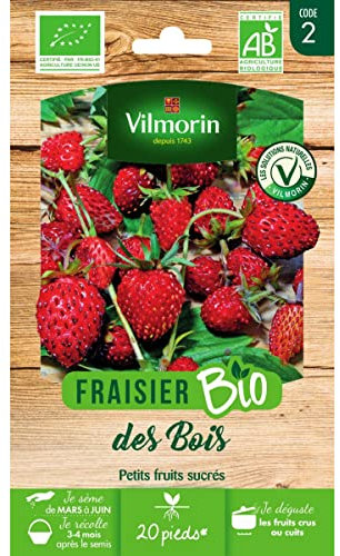 Vilmorin - Sachet graines Fraisier des Bois BIO - Fragaria vesca