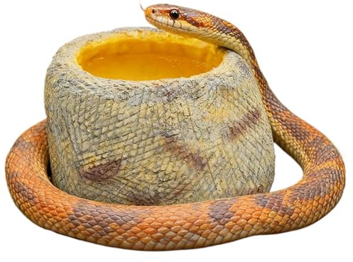 Generisk reptilskål – realistisk harts sten med brett stativ | matskål för terrarietillbehör, för Gecko sköldpadda inremitationskräftor, spindel för att dricka i terrariet