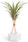 BOREEN - Plantas de Aire Tillandsia Vel con Soporte de Escritorio Decorativo (Hex. Cemento Blanco con Varillas de Madera)