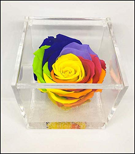 PREMIUM ROSE - Cubo Rosa Stabilizzata 8 cm con Marmo di Carrara - Rosa Eterna Stabilizzata Made in Italy - Idea Regalo per lei, Natale, Amiche, Mamma, Bambini - Multicolor 1800