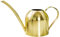 1 x Gießkanne aus Edelstahl, Mini Modern Style, kleine Gießkanne für Pflanzen und Indoor-Sukkulenten, 1000 ml (Gold)