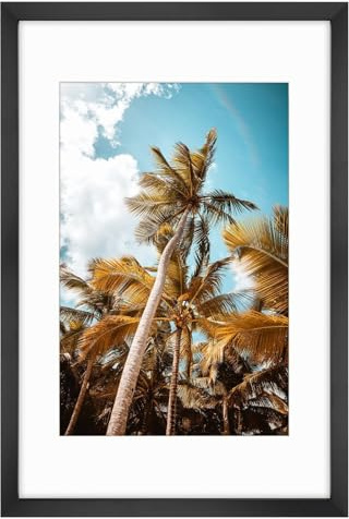 Frametory, 16x24 Picture Frame with Mat for 12x18 Picture - High Definition Glass Wide Molding - Preinstalled Wall Mounting Hardware (Black, 1 Pack)