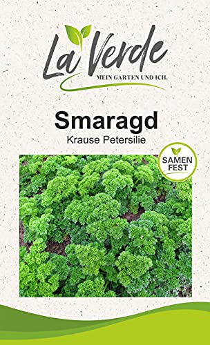 Petersilie Smaragd Kräutersamen