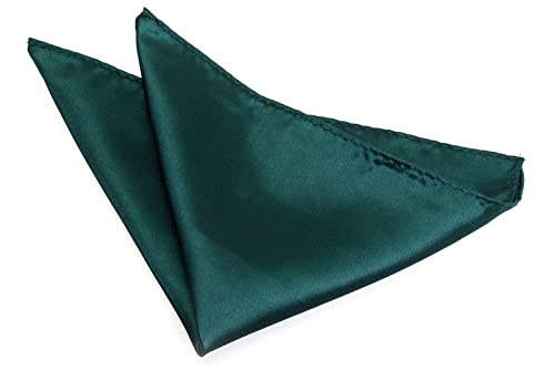 The Tie Company Mens Pocket Square Hanky Pre Fold Point Satin Handkerchief
