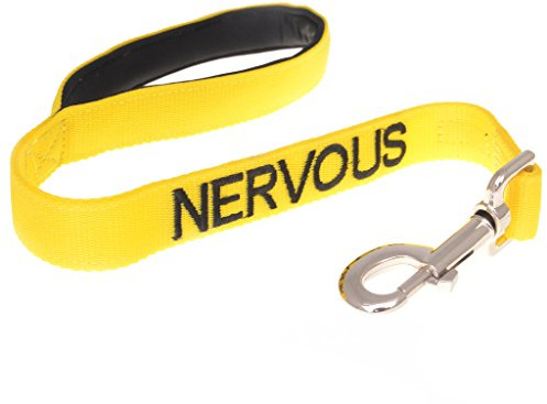 Dexil NERVOUS (Give Me Space) Yellow Colour Coded 60cm 1.2m 1.8m Luxury Neoprene Padded Handle Dog Leads PREVENTS Accidents By Warning Others Of Your Dog In Advance (60cm)