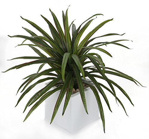 Closer2Nature Artificial 2ft 1 64cm Potted Yucca Plant - Perfect for Home and Office Decor