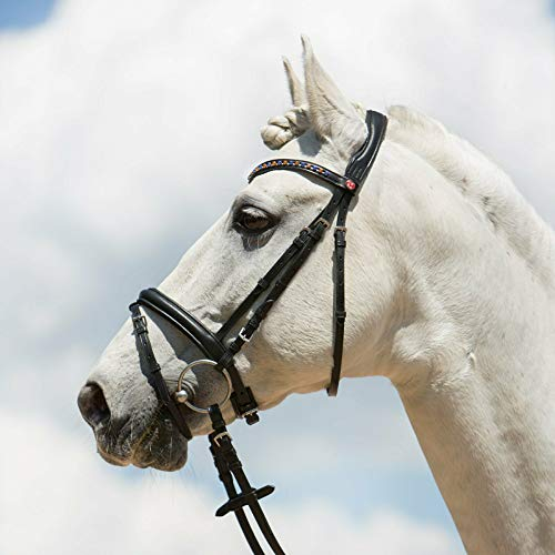 Kieffer - snaffle bridle ULTRA SOFT FASHION