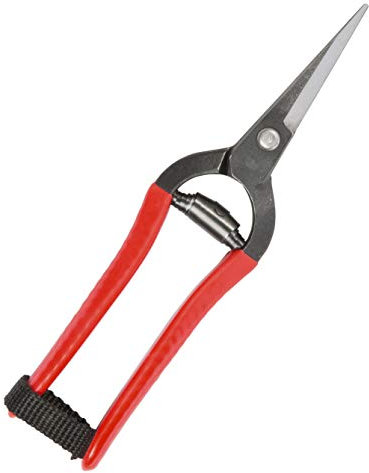 Niwaki