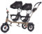 Chipolino Zwillingsdreirad 2Play Zwei Kinder bis 50 kg Gummireifen Lenkstange, Farbe:schwarz Gold