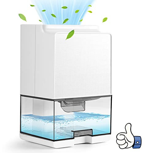 Deshumidificateurs la Maison 1000mL Déshumidificateurs d Air Electrique Deshumidificateur Portable Arrêt Automatique, Dégivrage Automatique LED Colorées Contre l'humidité et Moisissures