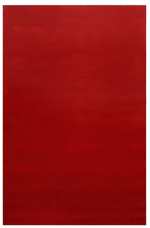 Homie Living Vielseitiger Kurzflor Wolle Teppich flexibel einsetzbar in Allen Räumen - Campino (90 x 160 cm, rot)