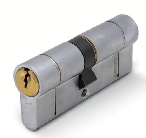 VERSA 6-Pin Euro Double Cylinder Lock 30/70 (100 mm) Dual Finish Satin Nickel & Satin Brass | 5 Keys | Anti-Snap, Anti-Drill, Anti-Pick | EN1303:2015 Certified | Reliable Door Cylinder Lock