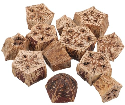 BESPORTBLE 12 Giocattoli da Masticare per Pappagalli, Frutti Essiccati Foraging, Accessori Gabbia per Beccaccini e Parrocchetti