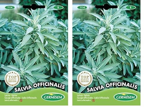 Germisem Salvia Officinalis Semillas de Salvia 1 g, EC1114 (Paquete de 2)