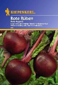 Rübensamen - Rote Rüben Rote Kugel 2 von Kiepenkerl